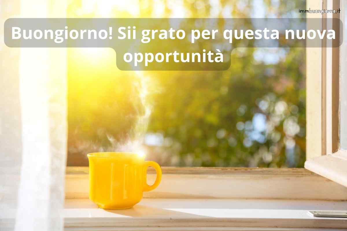 Buongiorno 31 ottobre 2023: frasi e immagini per una giornata superlativa